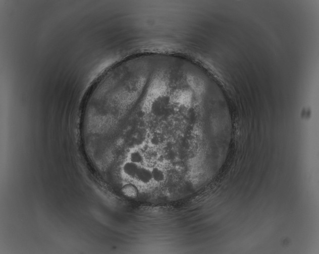 X0000091950679200710041008