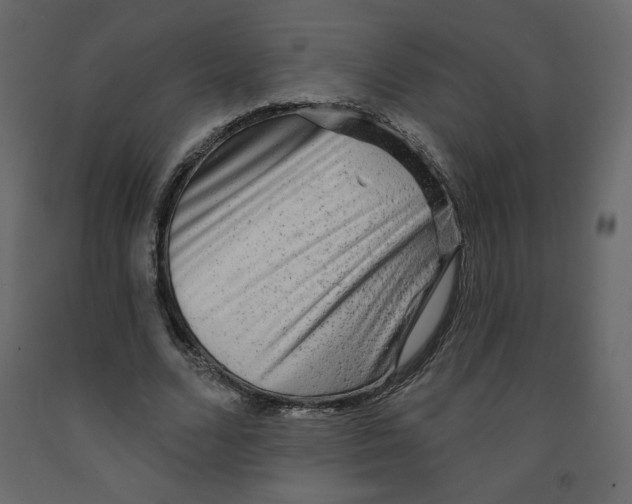 X0000091950680200710041008