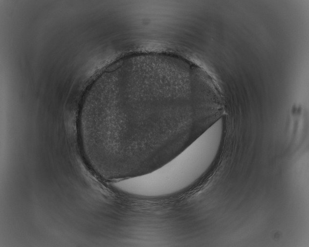 X0000091950681200710041008