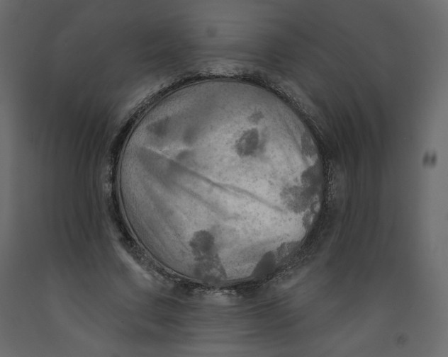 X0000091950683200710041008