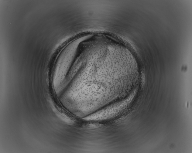 X0000091950684200710041008