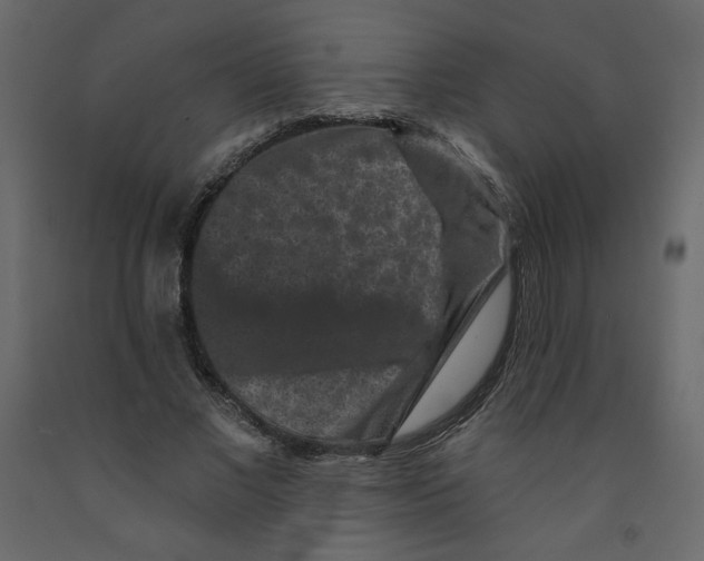 X0000091950685200710041008
