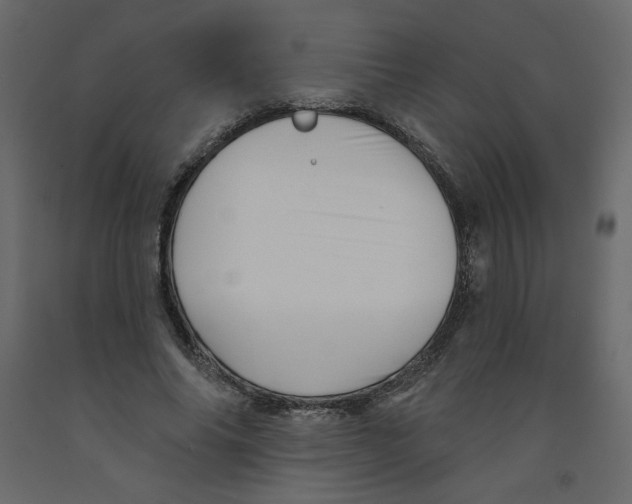 X0000091950686200710041008