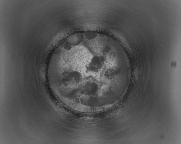 X0000091950687200710041008