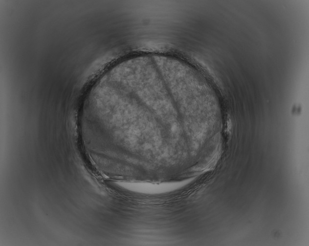 X0000091950688200710041008