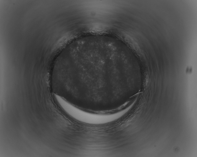 X0000091950689200710041008