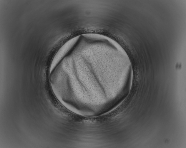 X0000091950690200710041008