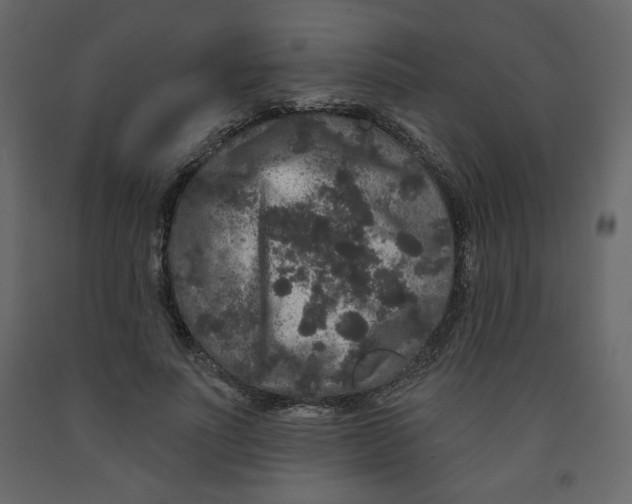 X0000091950691200710041008
