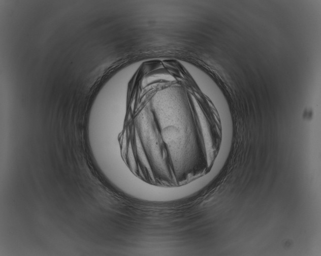 X0000091950693200710041008