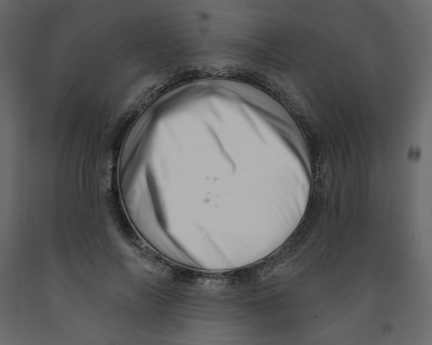 X0000091950694200710041008
