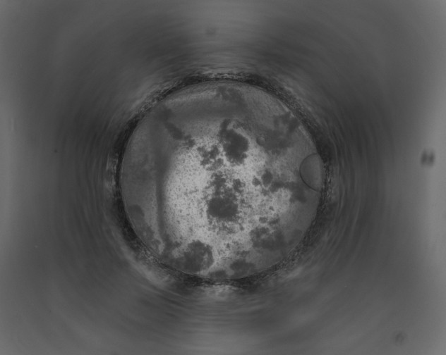 X0000091950695200710041008