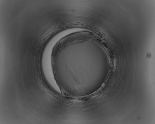 X0000091950696200710041008