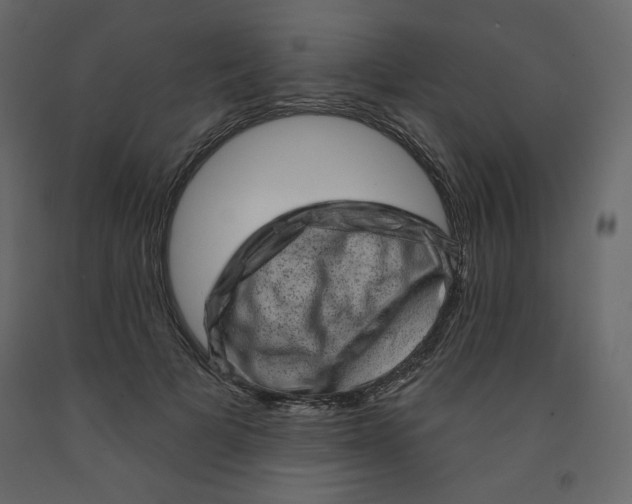 X0000091950697200710041008