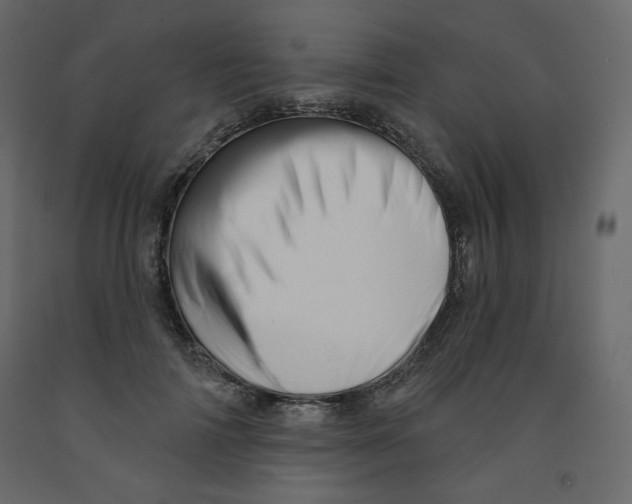 X0000091950698200710041008