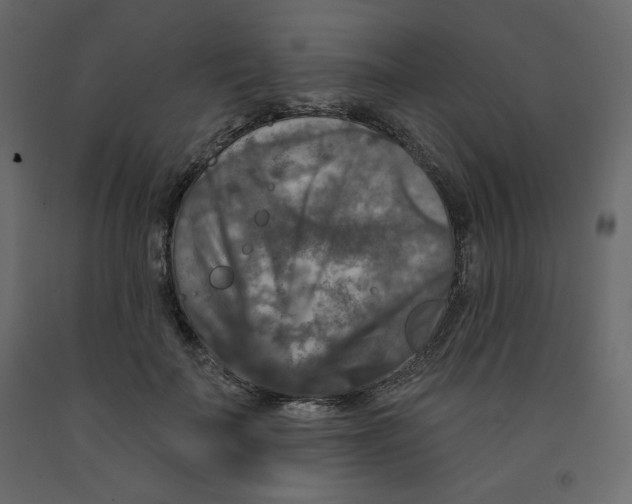 X0000091950699200710041008