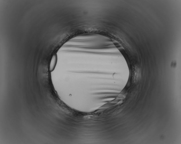X0000091950700200710041008