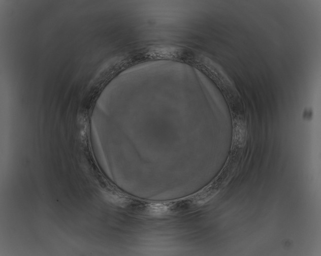 X0000091950701200710041008