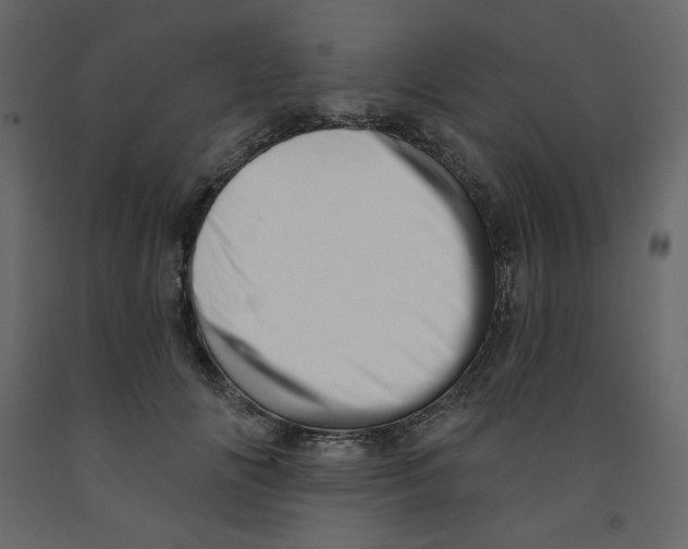 X0000091950702200710041008