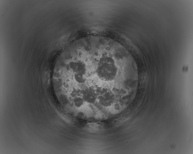 X0000091950703200710041008