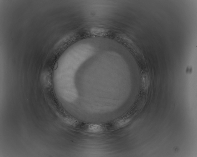 X0000091950705200710041008