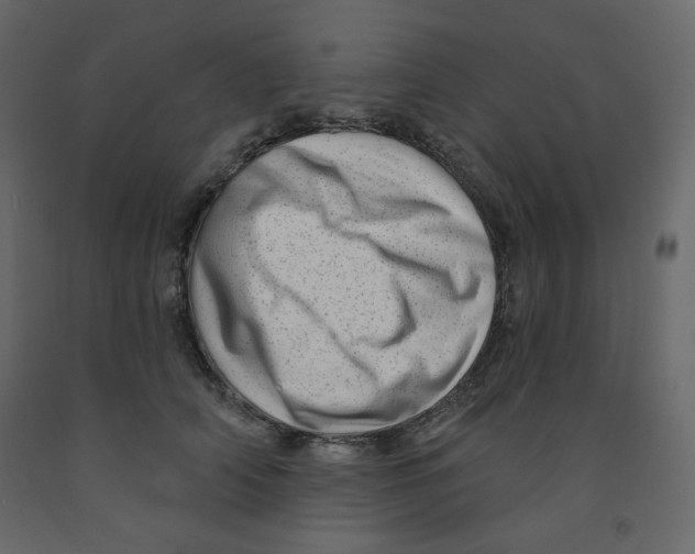 X0000091950706200710041008