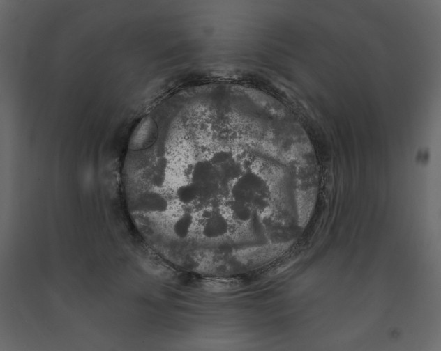 X0000091950707200710041008