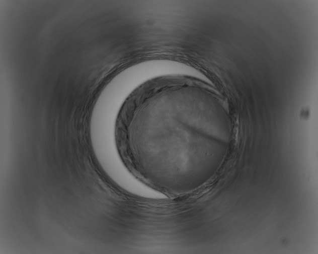 X0000091950708200710041008