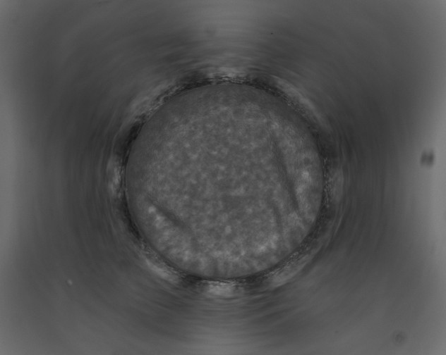 X0000091950709200710041008