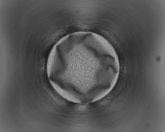 X0000091950710200710041008