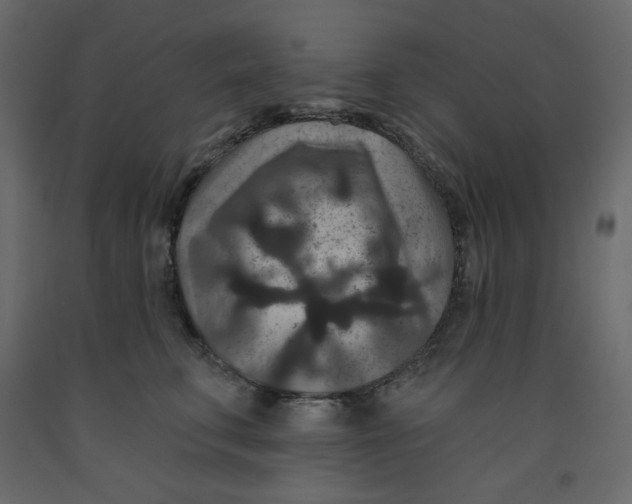 X0000091950711200710041008