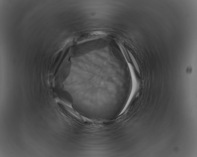 X0000091950712200710041008