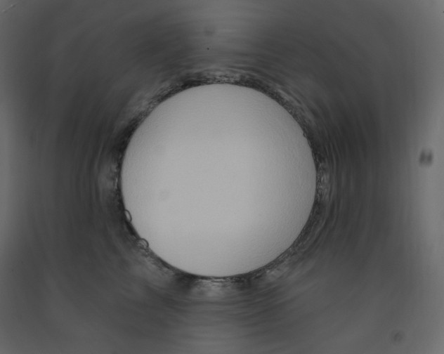 X0000091950713200710041008
