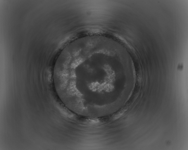 X0000091950715200710041008