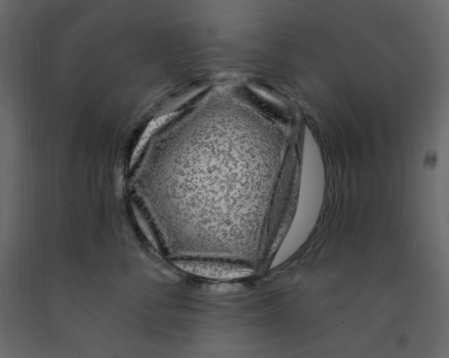X0000091950716200710041008