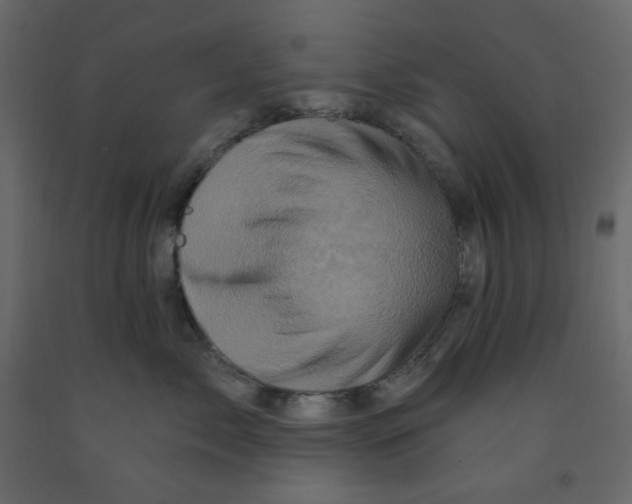 X0000091950717200710041008