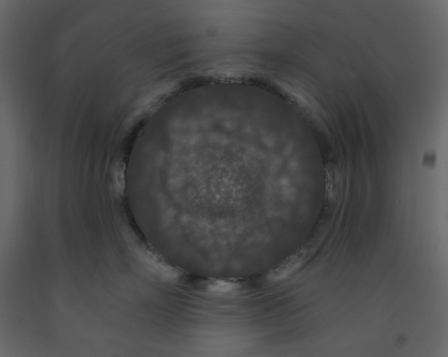 X0000091950718200710041008