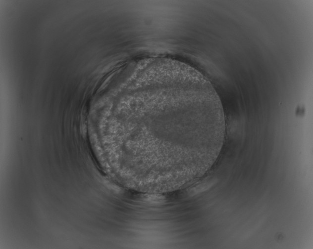 X0000091950719200710041008