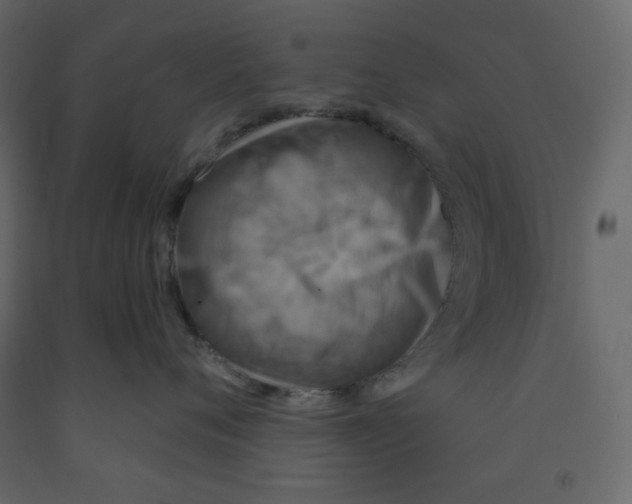 X0000091950720200710041008