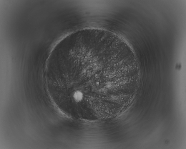X0000091950721200710041007
