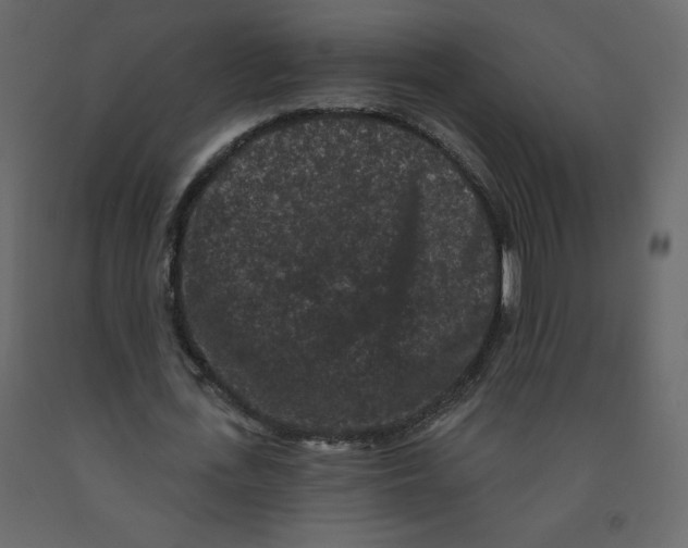 X0000091950723200710041007