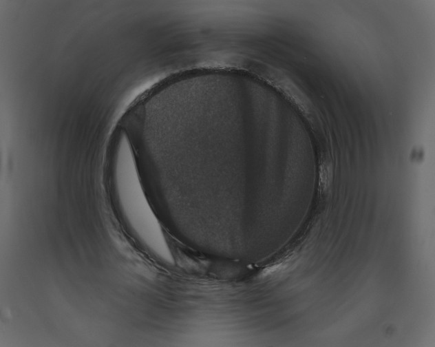 X0000091950724200710041007