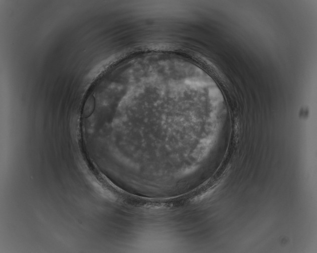 X0000091950725200710041007