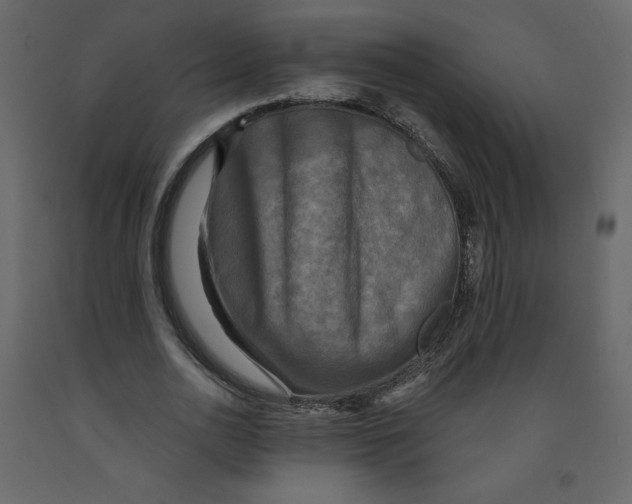 X0000091950726200710041007