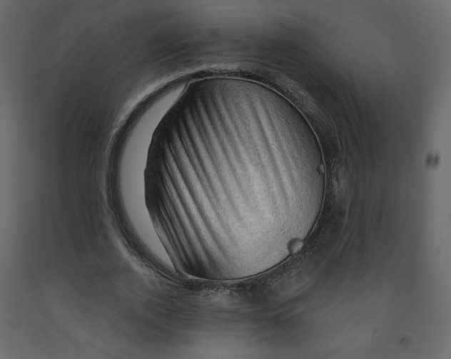 X0000091950728200710041007
