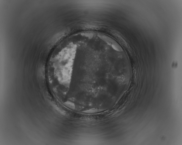 X0000091950729200710041007