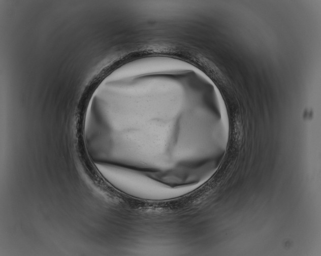 X0000091950730200710041007