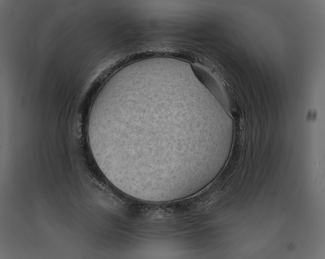 X0000091950731200710041007