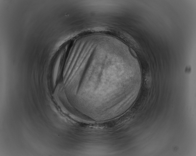 X0000091950732200710041007