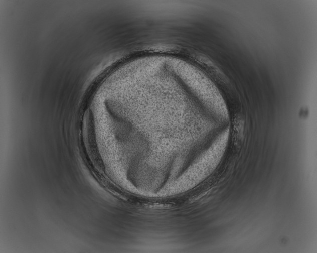 X0000091950734200710041007