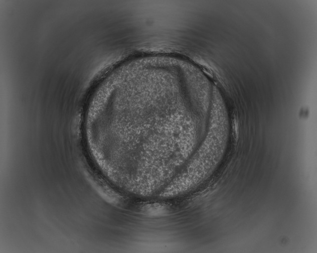 X0000091950735200710041007